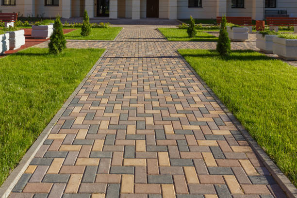 Best Driveway Paving Contractor  in Ouray, CO