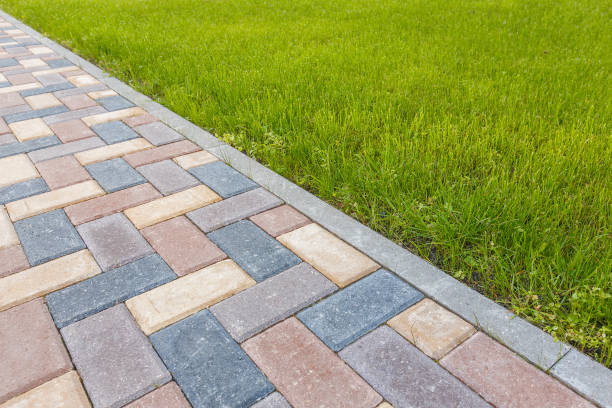 Best Professional Driveway Pavers  in Ouray, CO